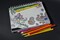 72 Colored Pencils for Adult Coloring Books, Soft Core, Artist Sketching Drawing Pencils Art Craft Supplies, Coloring Pencils Set Gift for Adults Kids Beginners